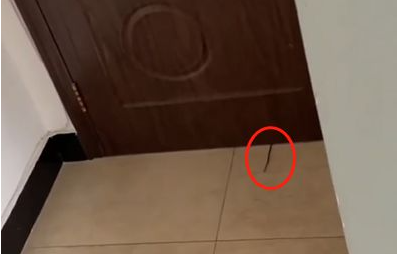 1689236269725802.png image.png