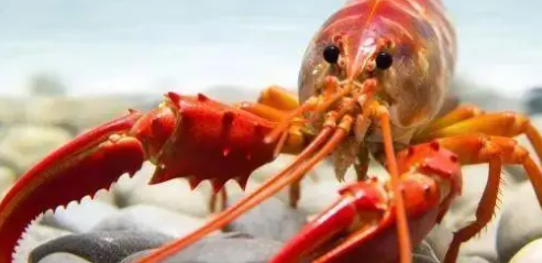 1693281272176117.png image.png