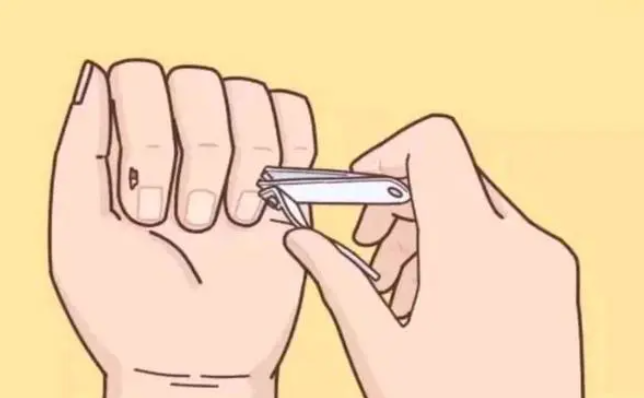 1697683119735935.png 99.png