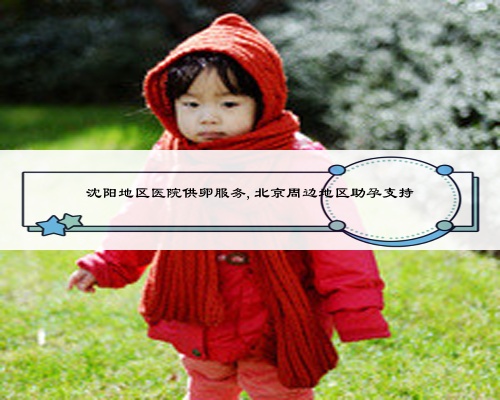 沈阳地区医院供卵服务,北京周边地区助孕支持