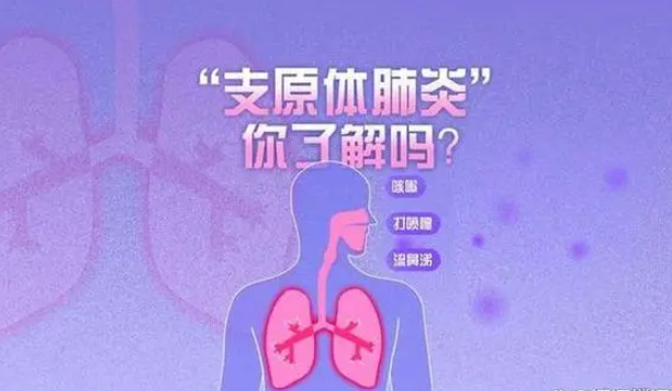 1699942790580606.png image.png