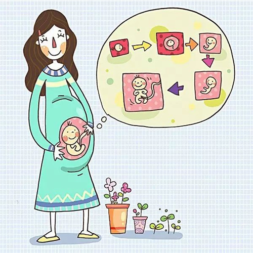 1701414504787361.jpg 孕63.jpg