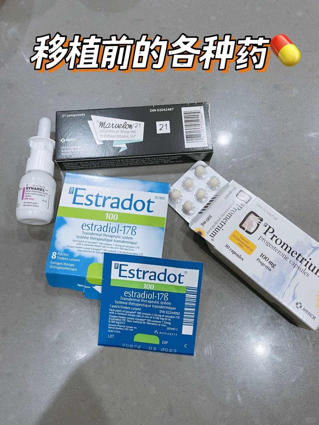 试管之路|胚胎移植前的准备