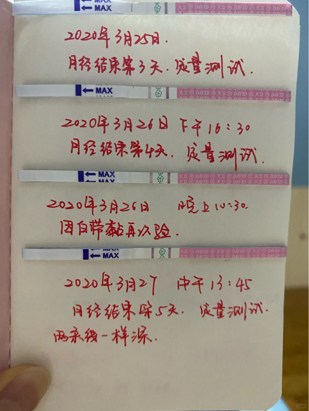 备孕到测出怀孕全过程1（有点长，慢慢看）