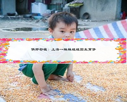 供卵移植:上海一妹妹姐姐圆生育梦