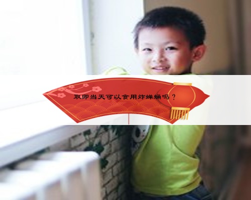 取卵当天可以食用炸蝉蛹吗?