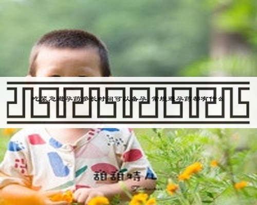 吃紧急避孕药多长时间可以备孕,常规避孕药都有什么