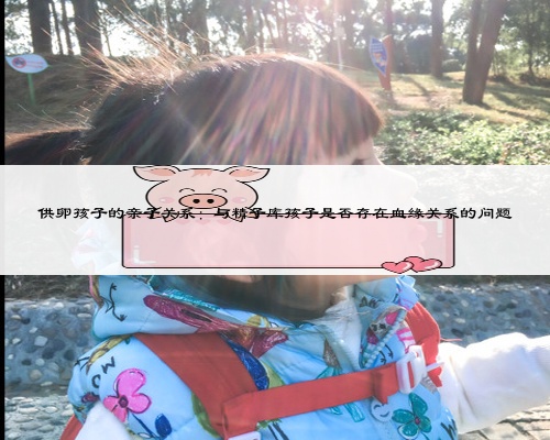 供卵孩子的亲子关系：与精子库孩子是否存在血缘关系的问题