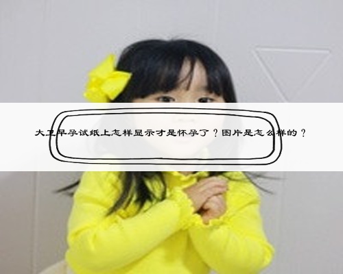 大卫早孕试纸上怎样显示才是怀孕了?图片是怎么样的?