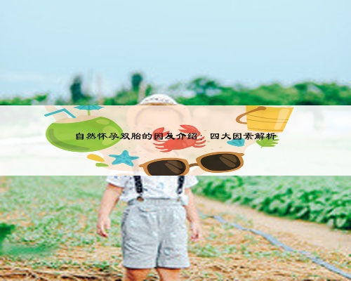 自然怀孕双胎的因及介绍:四大因素解析