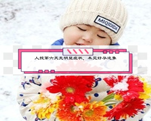 人授第六天无明显症状,未见好孕迹象