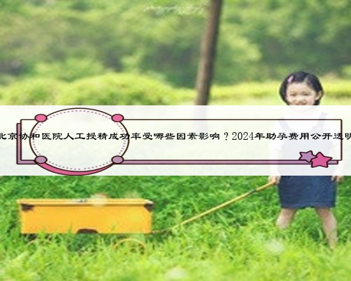 北京协和医院人工授精成功率受哪些因素影响？2024年助孕费用公开透明