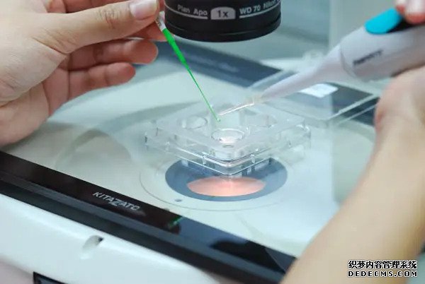 中山代怀生 有没有中山博爱医院三代试管流程表? ‘已生男宝的nt单子图’