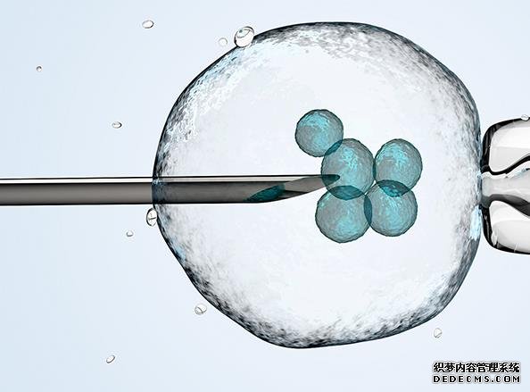 北京助孕生殖 北京大学人民医院做试管婴儿怎么样?附助孕成功率及费用参考 ‘代孕三个月彩超宝宝趴着是男是女图片’