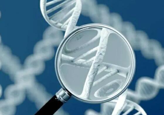 辽宁供卵试管 2023
年辽宁试管婴儿医院怎么挑 ‘营口伊人26周四维看男女准么’