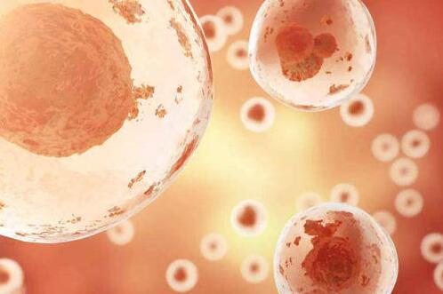 邯郸供卵试管 邯郸中心医院。 ‘营口伊人26周四维看男女准么’