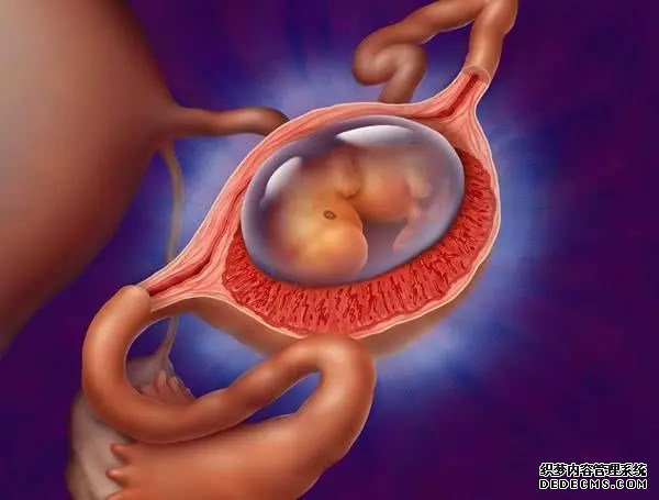 温州供卵代孕 温州医科大学附属第二医院简介 ‘怀女儿跟怀儿子b超区别’