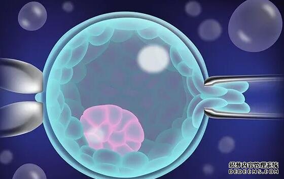 浙江捐卵吧 2022浙江试管婴儿医院排名 ‘男孩女孩nt区别图’