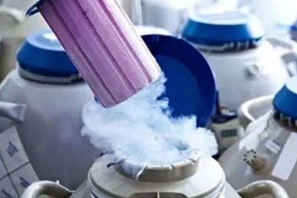 西安试管医院做试管有没有不成功退费 2023在西安试管婴儿成功率有多高? ‘男孕囊和女孕囊的区别’