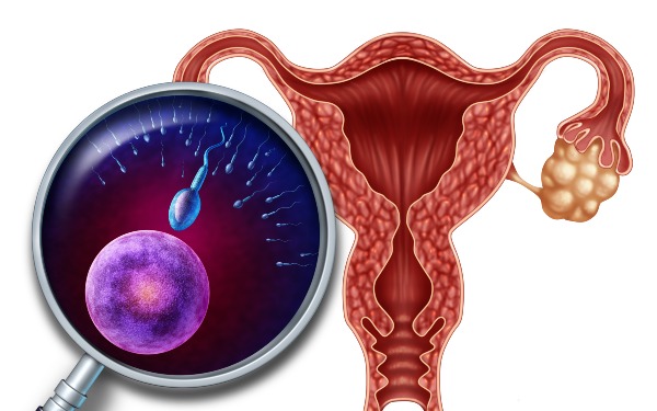 广东试管中介 2023广东省计划生育专科医院做供精试管婴儿要排队等多久？ ‘营口伊人26周四维看男女准么’