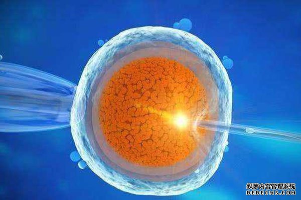 珠海妇幼医院附近哪里有试管之家 2022珠海试管费用纳入医保了吗? ‘孕囊23mm×25mmⅹ8mm是男宝或女宝’