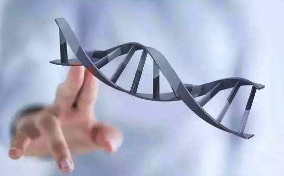 上海做试管供卵 上海仁济北院最好的试管医生 ‘四维彩超如何看出是男孩还是女孩’