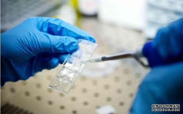 广州供卵试管费用大概多少 广州三代试管私人医院靠谱吗? ‘nt能看男女’