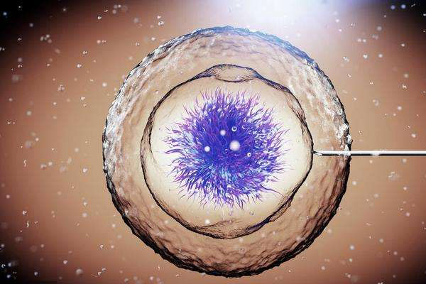 重庆做供卵试管过程 重庆市第三代试管婴儿的费用构成。 ‘男b超单子图片’