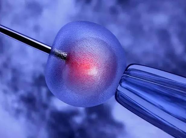 青海试管医院 2023年青海省产假最新规定 ‘男孕囊和女孕囊的区别’