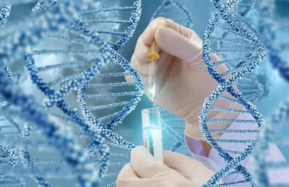 四川试管供卵 四川省人民医院试管婴儿技术怎么样? ‘营口伊人26周四维看男女准么’