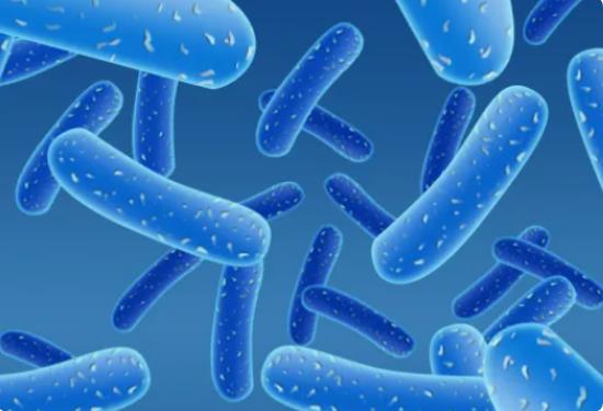 山东做试管哪家医院成功率最高 济南供卵试管费用多少，2022山东供卵试管费用预估 ‘黑白b超看男女准确率大约是多少’