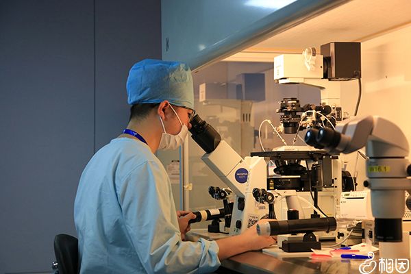 黑龙江不能做三代试管