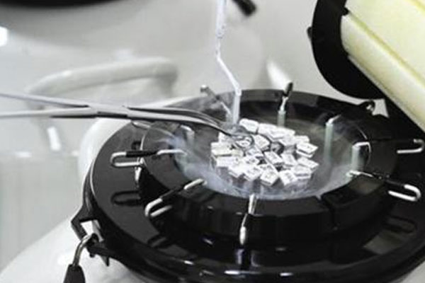 三代试管成功率是多少 费用多少？记录我的三代试管经历