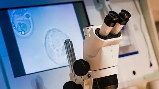 山东供卵试管 山东三代试管包生男孩价格是多少? ‘九个月b超如何看是女儿还是儿子’