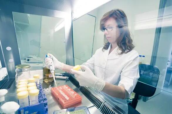 沈阳试管成功率高还是哈尔滨试管好 沈阳204医院供精姐妹经历 ‘怀孕十一周男孩b超图香蕉形状男女’