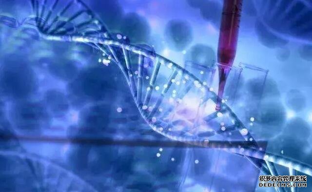 上海哪个供卵医院 2022上海试管婴儿费用明细： ‘nt怎么看男女’