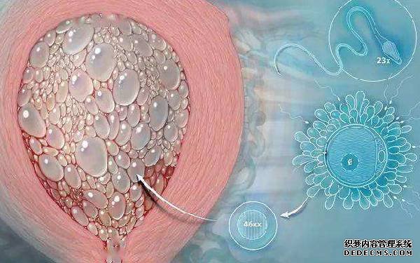 小心巧囊复发,做好以下几点让你有效避免复发