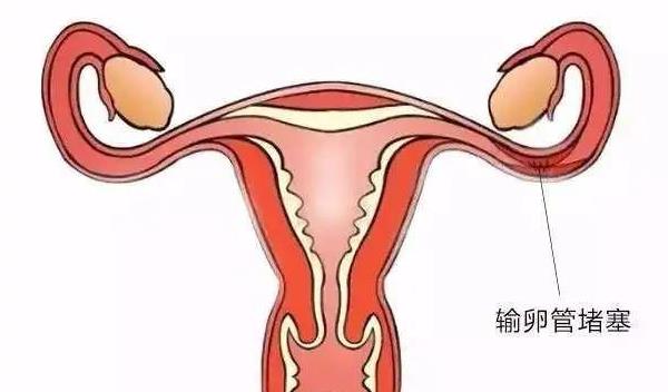 济宁三代试管 最新济宁试管婴儿医院排名 ‘双顶径41mm股骨长27mm胎心160次看男女’