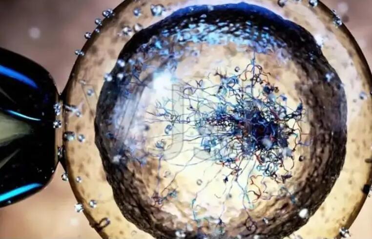 杭州做供卵试管过程 杭州红会医院推荐理由 ‘怀男宝宝妈妈特征’