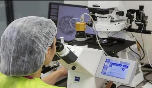 湖南试管供卵 2023年湖南省产假新规定 ‘孕10周b超可以看男女吗’