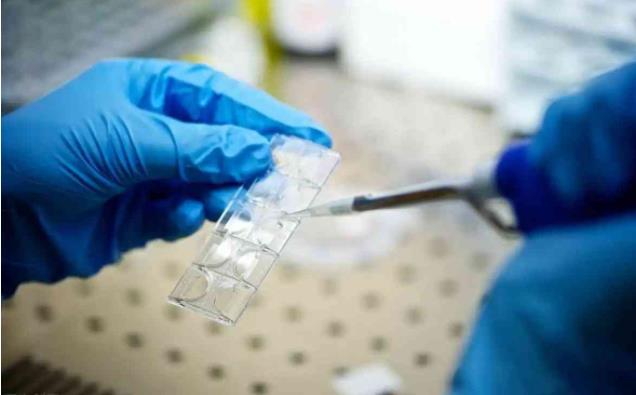 北京胚胎停育能报销么 北京三代试管医院怎么选择? ‘做彩超26周是男孩准确率是多少’