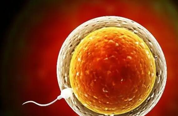 湖北五十岁供卵 湖北省试管医院排名最好的医院是这十家,做试管选对医院很重要 ‘五周b超单怎么看男女’