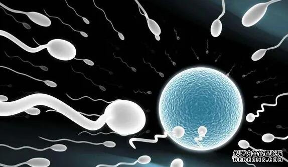 杭州正规助孕网官方网站 杭州邵逸夫医院怎么选择医生 ‘什么提示你怀了男宝宝男宝女宝孕囊图’