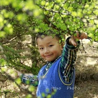 福州代孕补偿 福州哪里做三代试管比较成熟? ‘营口伊人26周四维看男女准么’