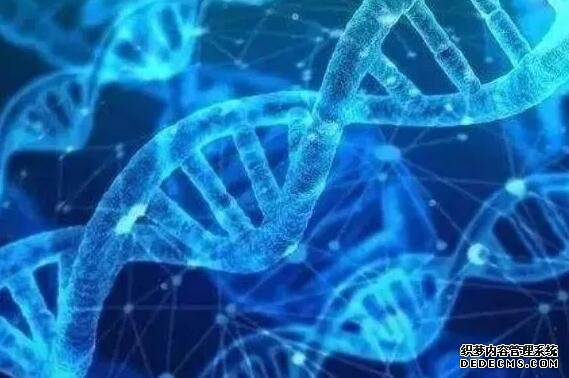 惠州园洲哪里有私人医院B超看男女 广东惠州试管医院排名:为什么越来越多人关注排名? ‘b超腿短是男孩多还是女孩多’