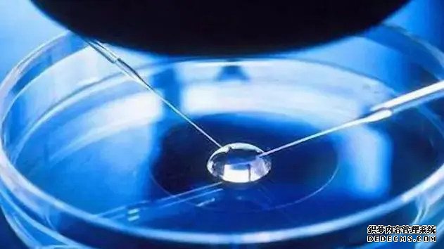 深圳试管代怀大概多钱 深圳供卵做试管包生男孩费用解剖 ‘24三维彩超男女’