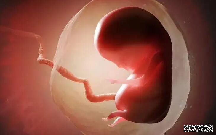 试管婴儿在杭州私人医院做试管婴儿可以吗,试管婴儿费用大约多少