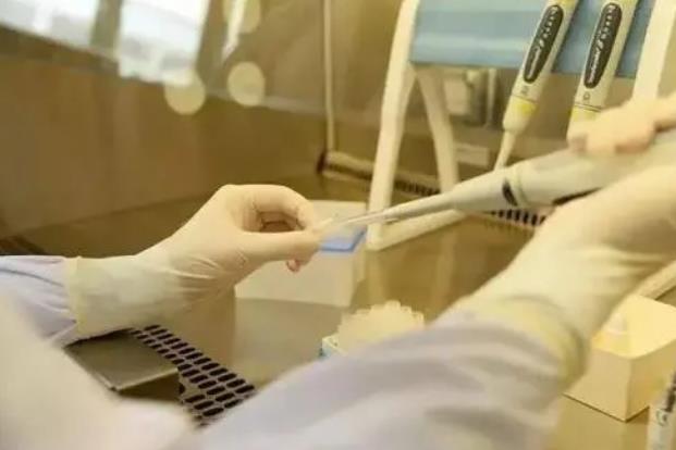 成都锦江医院和西囡是一个医院吗 2022成都市妇幼保健院能做三代试管生男孩吗? ‘代孕的彩超单子上的三个数据看男女’