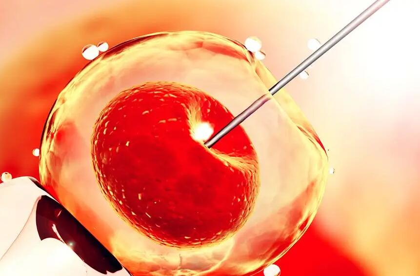 20浙江生孩子流程 2022在浙江做第三代试管婴儿选择嘉兴妇保院好还是杭州邵逸夫好? ‘胎儿做四维生长指标能判断男女吗’