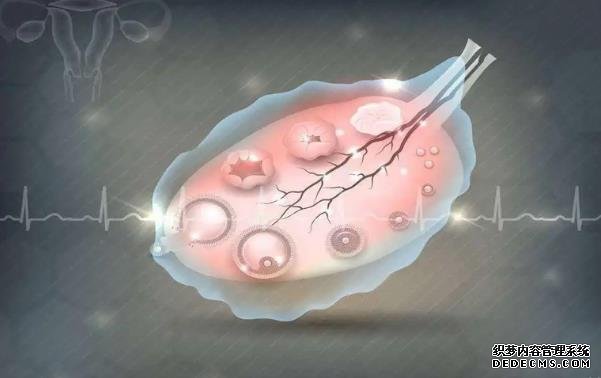 多次睾丸穿刺无精子该怎么办?_3n2Lj